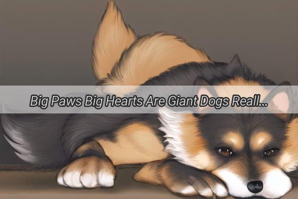 Big Paws Big Hearts Are Giant Dogs Really Easier to Care For